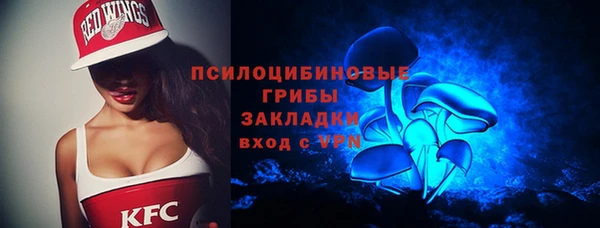 ГАЛЛЮЦИНОГЕННЫЕ ГРИБЫ Алексин