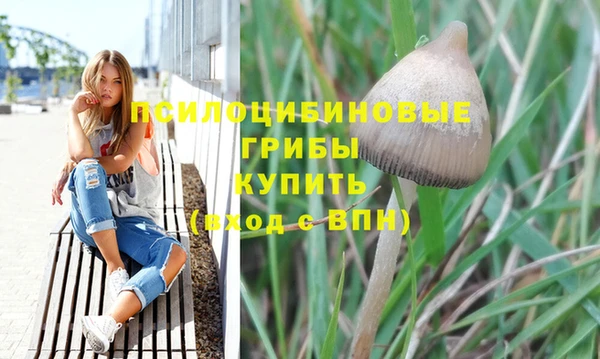 ГАЛЛЮЦИНОГЕННЫЕ ГРИБЫ Алексин