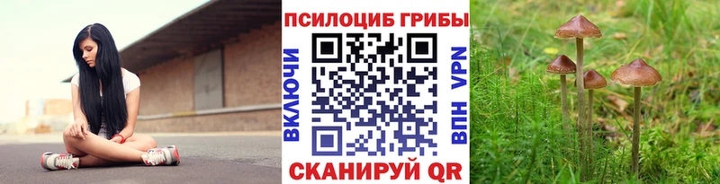 Псилоцибиновые грибы Magic Shrooms  Пермь 