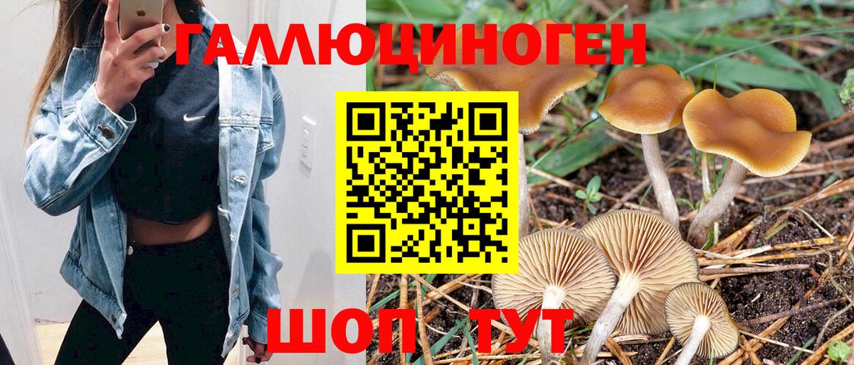 Галлюциногенные грибы прущие грибы Пермь