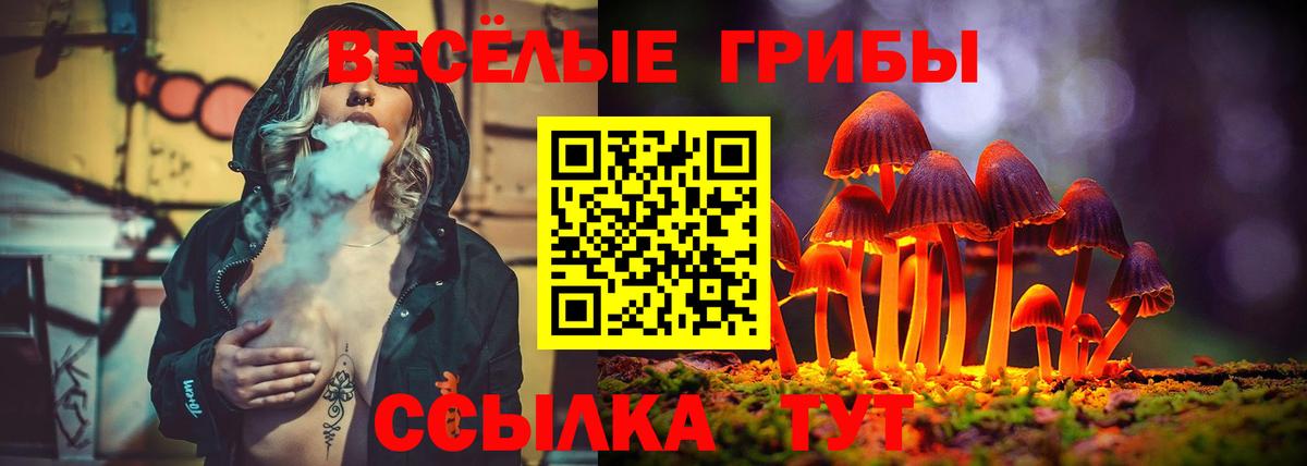 Пермь  закладки  Вход с VPN  Галлюциногенные грибы Magic Shrooms 